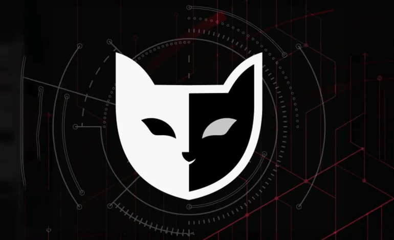 مكافأة 10 ملايين دولار: أمريكا تطلب معلومات عن قراصنة بلاك كات