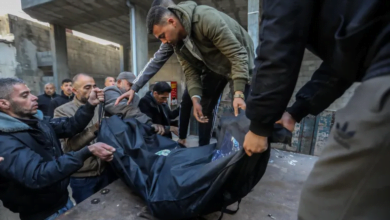 إسرائيل ترتكب 7 مجازر بغزة واستشهاد 28 شخصا بسبب المجاعة