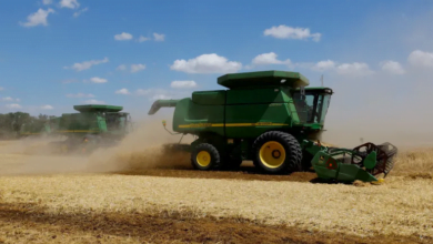 بوتين يأمر الحكومة بوضع مقترحات لتبادل الحبوب بين دول البريكس