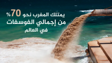 العرب يتصدرون أكبر 10 دول منتجة ومصدرة للفوسفات في العالم