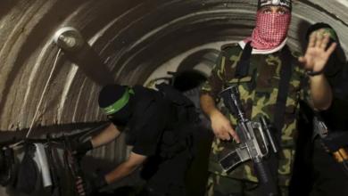 خبيرة بريطانية: حماس أبعد ما تكون عن الهزيمة