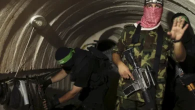 خبيرة بريطانية: حماس أبعد ما تكون عن الهزيمة