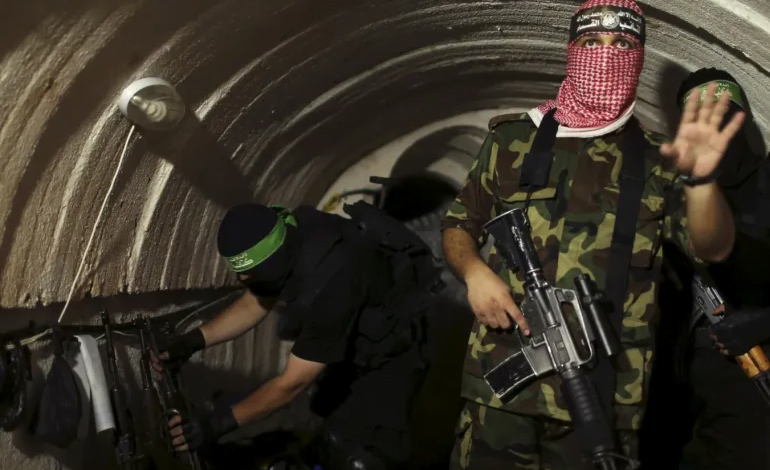 خبيرة بريطانية: حماس أبعد ما تكون عن الهزيمة