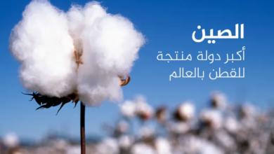 أعلى 10 دول إنتاجاً وتصديراً للقطن عالمياً، بما في ذلك دول إسلامية