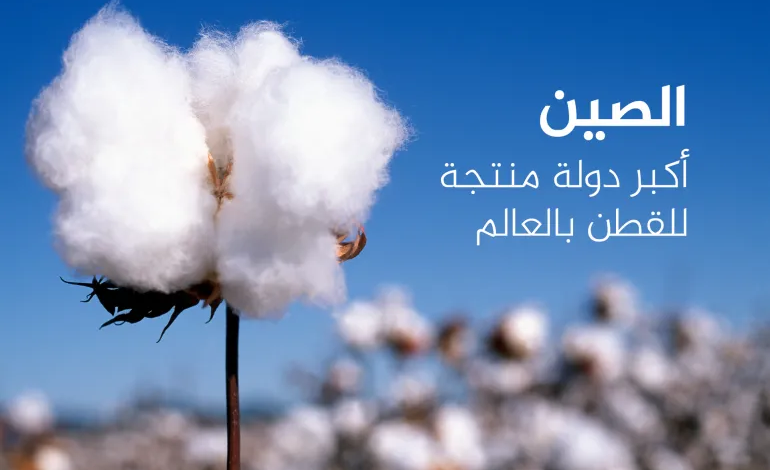 أعلى 10 دول إنتاجاً وتصديراً للقطن عالمياً، بما في ذلك دول إسلامية