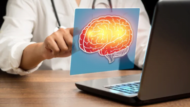 نموذج حاسوبي يحاكي تعقيدات دماغ الإنسان عند التخطيط واتخاذ قرار حاسم